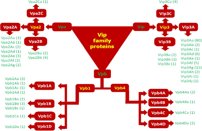 FIGURE 3