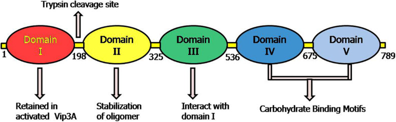 FIGURE 4