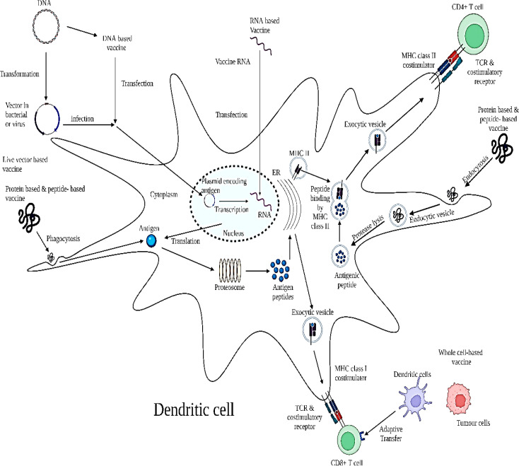 Figure 5