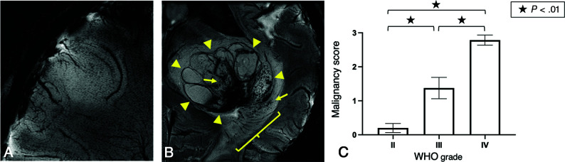 FIG 3.