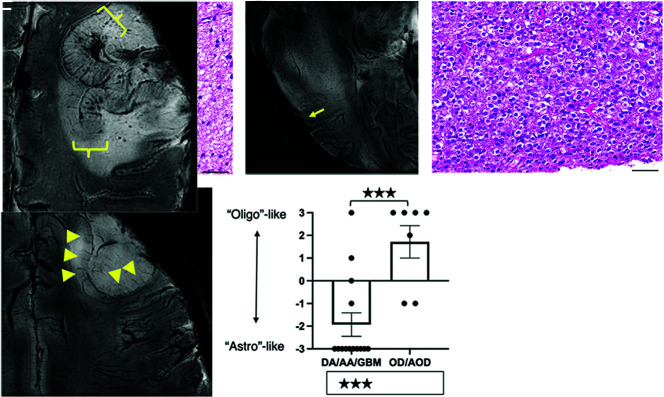 FIG 2.