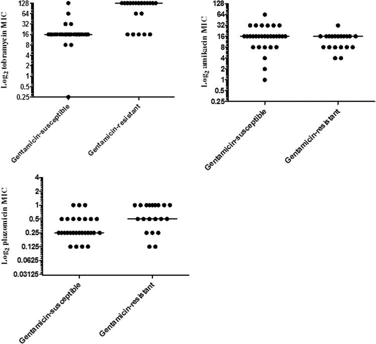 FIG 1