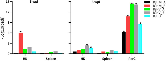 Figure 4