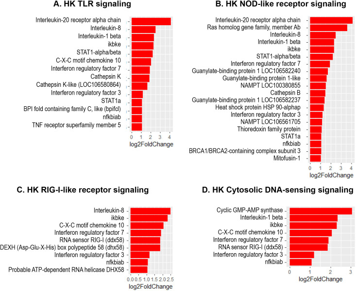 Figure 6