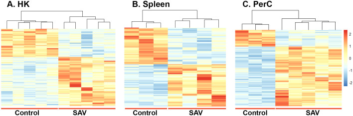 Figure 3