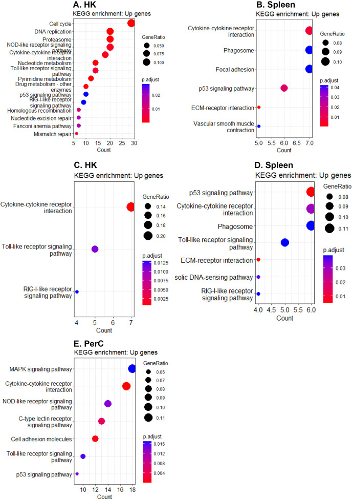 Figure 5