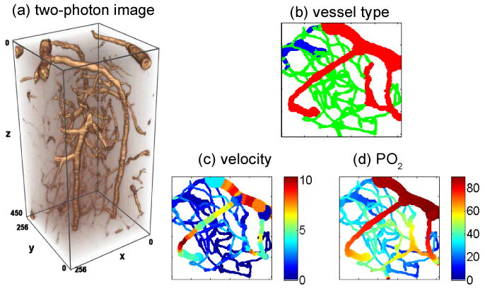 Fig. 4