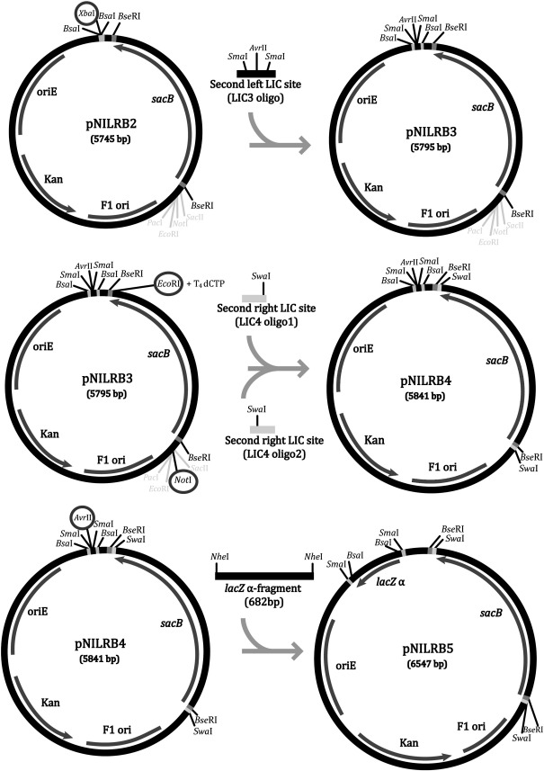 Fig. 3