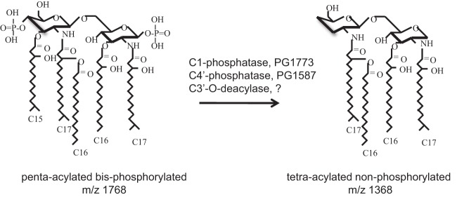 FIG 1