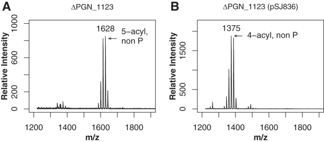 FIG 5