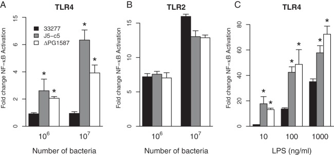 FIG 3