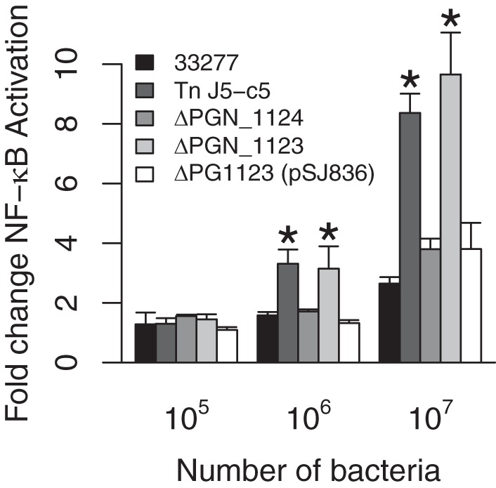 FIG 6