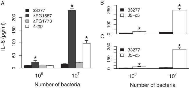 FIG 2