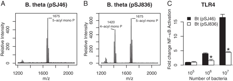 FIG 8