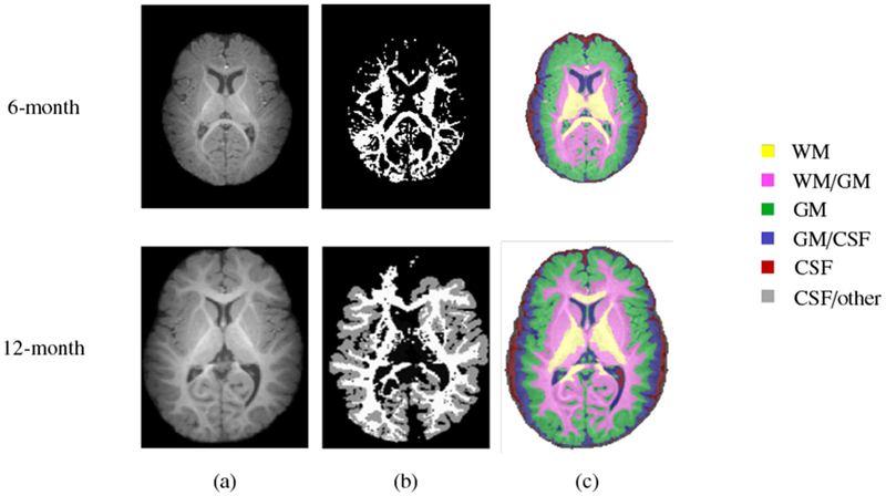 Fig. 2: