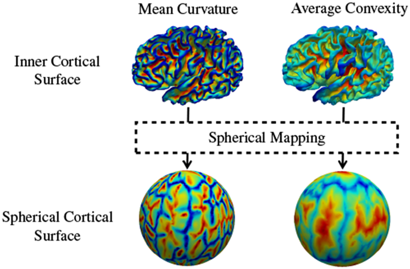 Fig. 4: