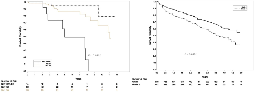 Figure 2a.