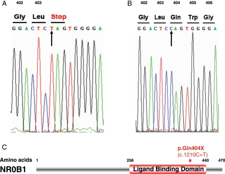 Figure 1