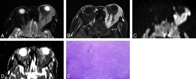 Fig 1.