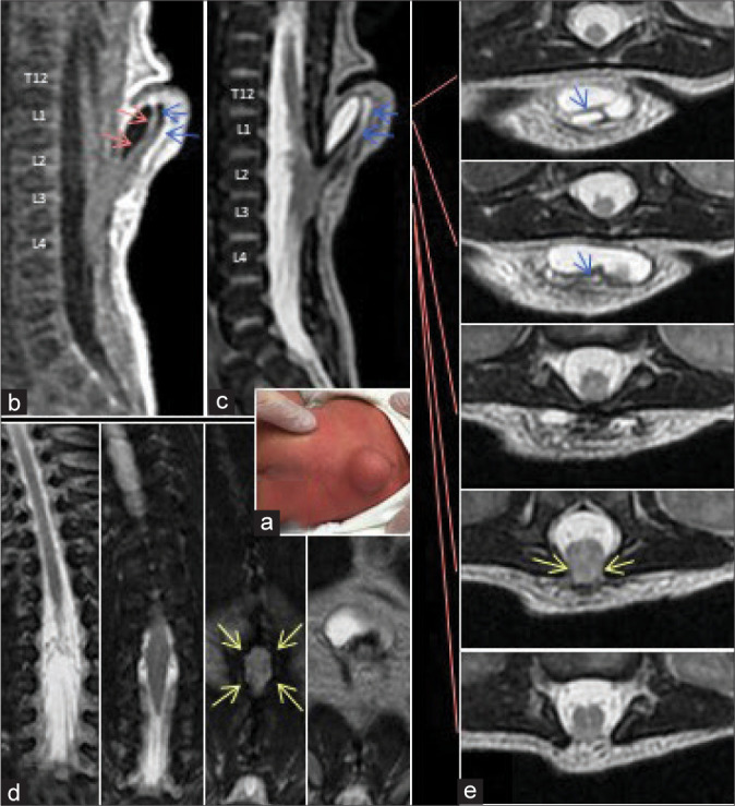 Figure 1: