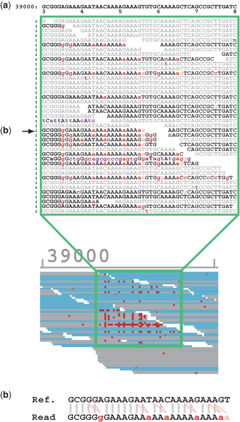 Figure 4.