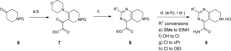 Scheme 1