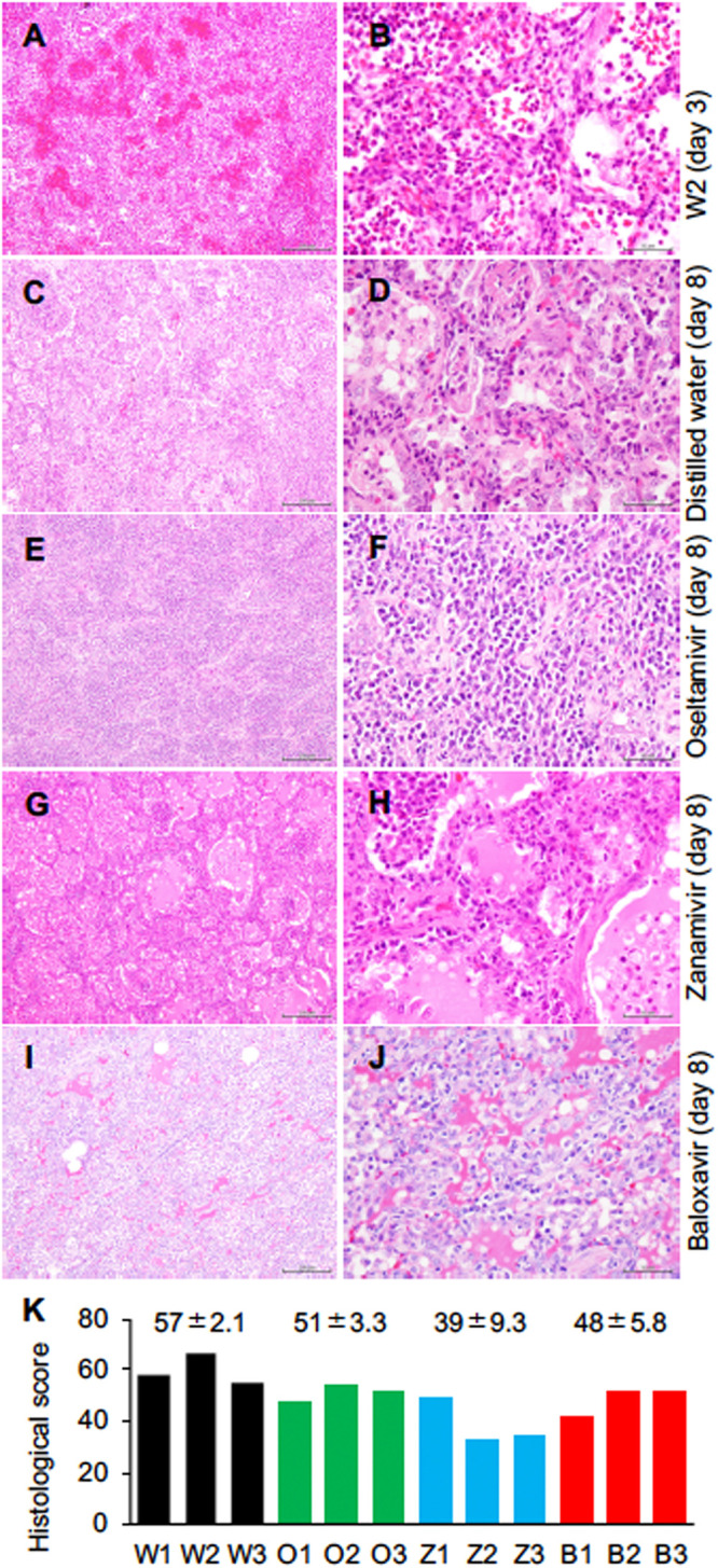 FIG 2