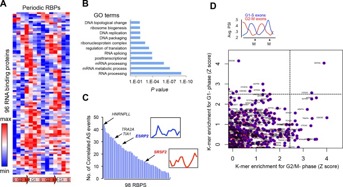 Figure 2—figure supplement 1.