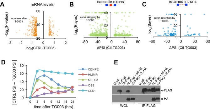 Figure 3—figure supplement 1.