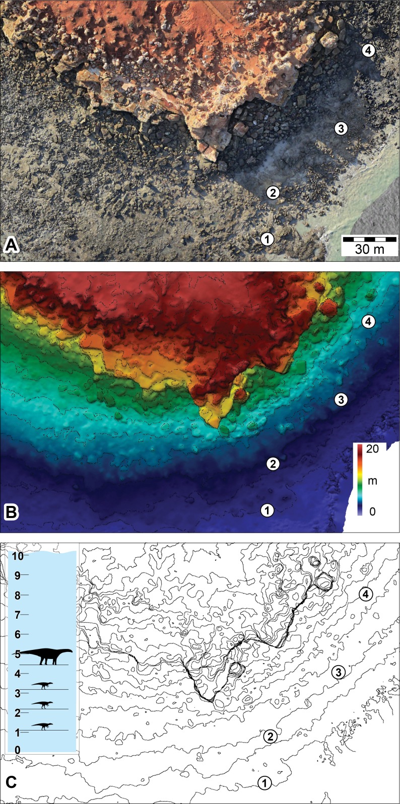 Figure 13