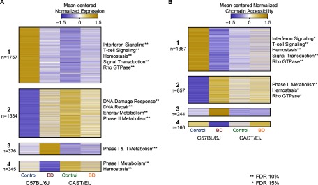 Figures 5A and 5B are heat maps of mean-centered normalized expressions and mean-centered normalized chromatin accessibility, respectively.