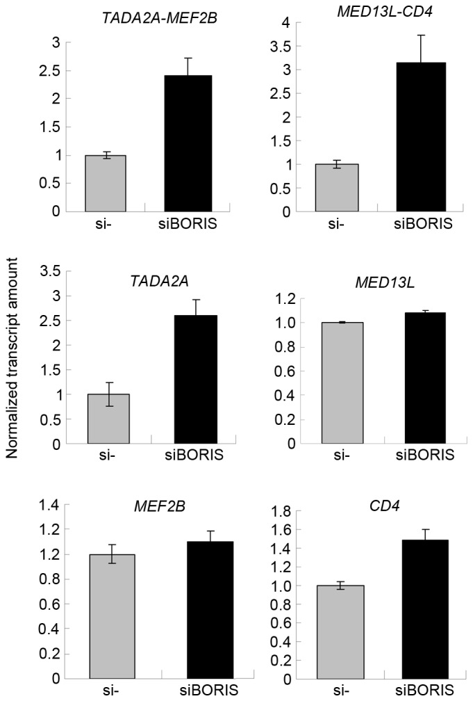 Figure 6.