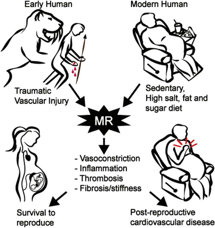 Figure 1.