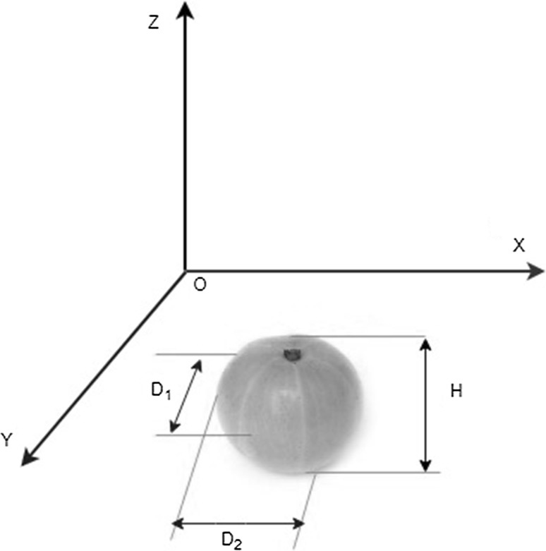 Fig. 1