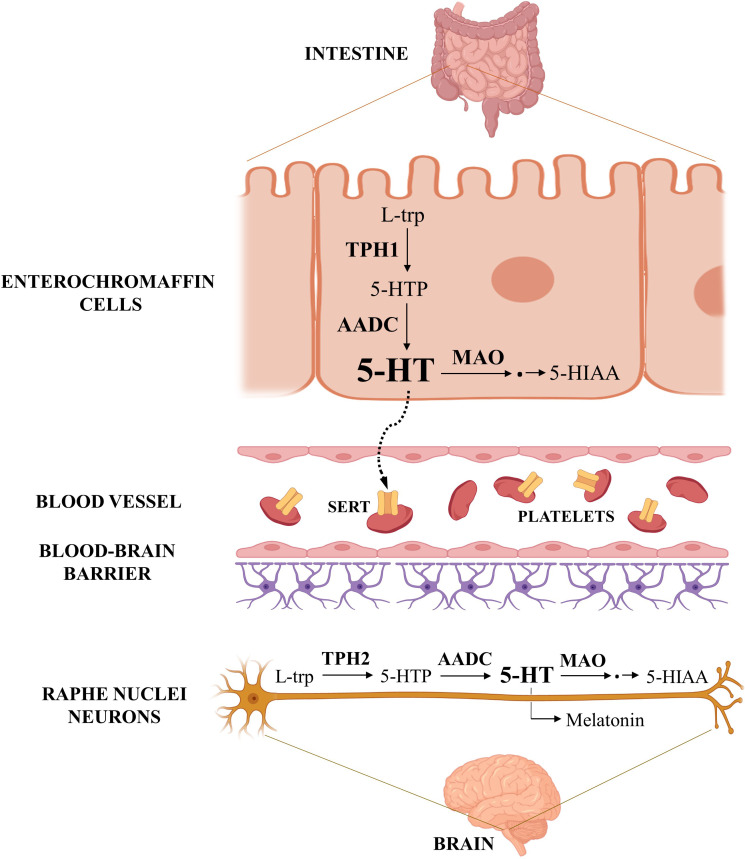 Figure 1