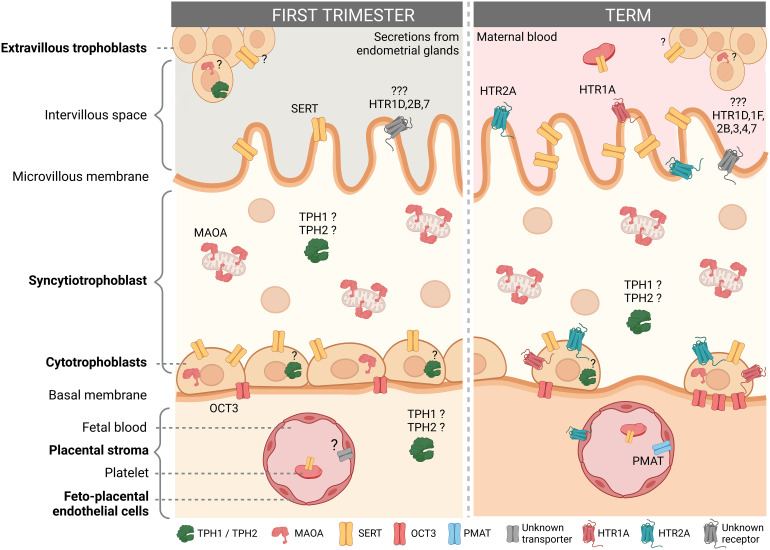 Figure 2