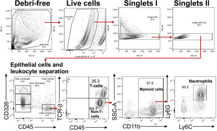 Figure 4