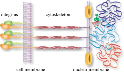 Figure 1.