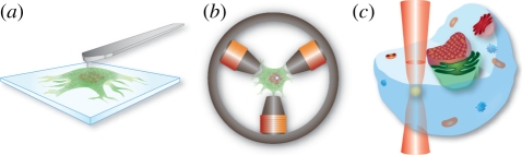 Figure 5.