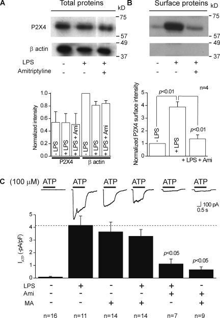 Figure 14.