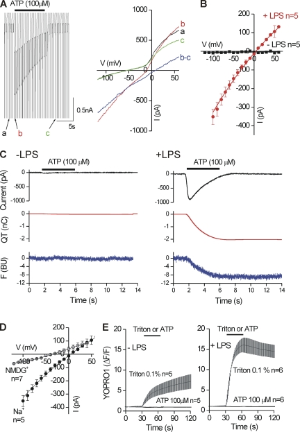 Figure 6.