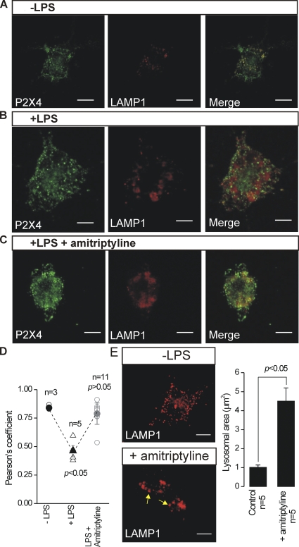 Figure 13.