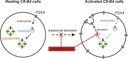 Figure 15.