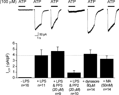 Figure 10.