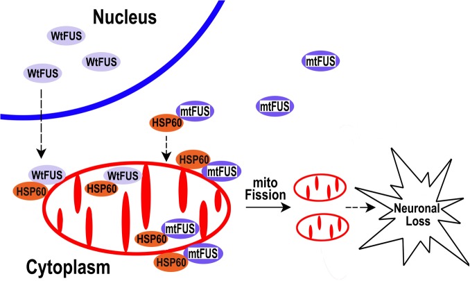 Fig 9