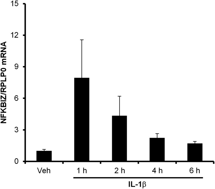 Fig. S4.