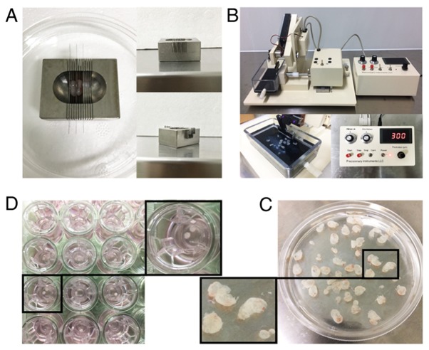 Figure 3.