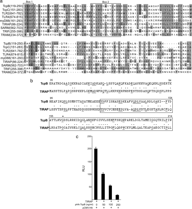 FIGURE 1.