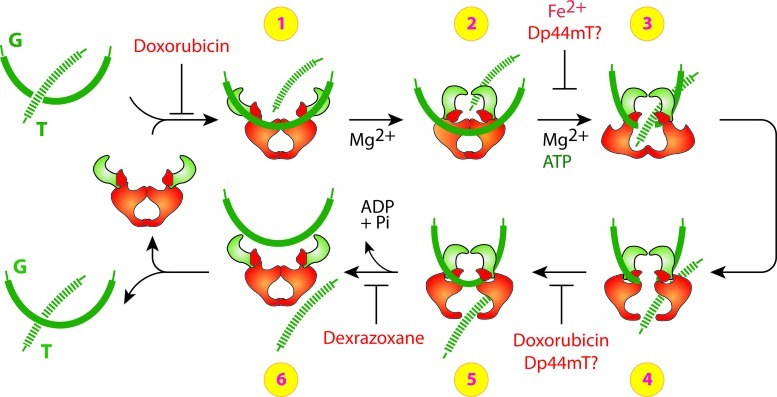 FIG. 4.