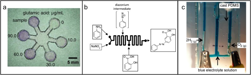 FIG. 1.